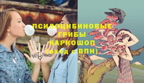 гидра Верхнеуральск