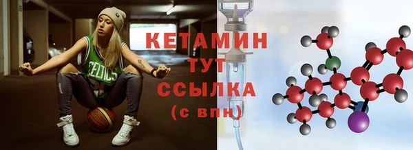 амф Верея