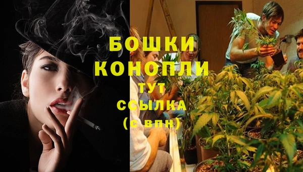 амф Верея