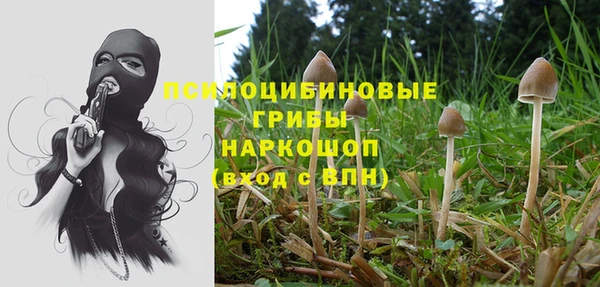 гидра Верхнеуральск