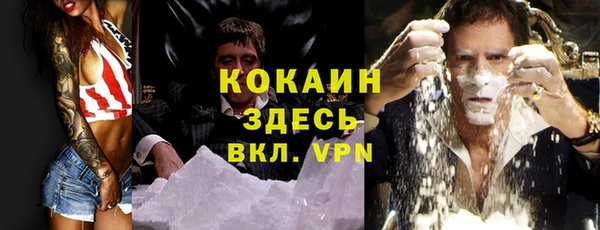 амф Верея