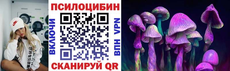 купить  цена  Ершов  Галлюциногенные грибы Magic Shrooms 